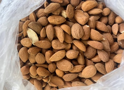 تصویر 1 از فروش و قیمت ویژه مغز بادام سنگی